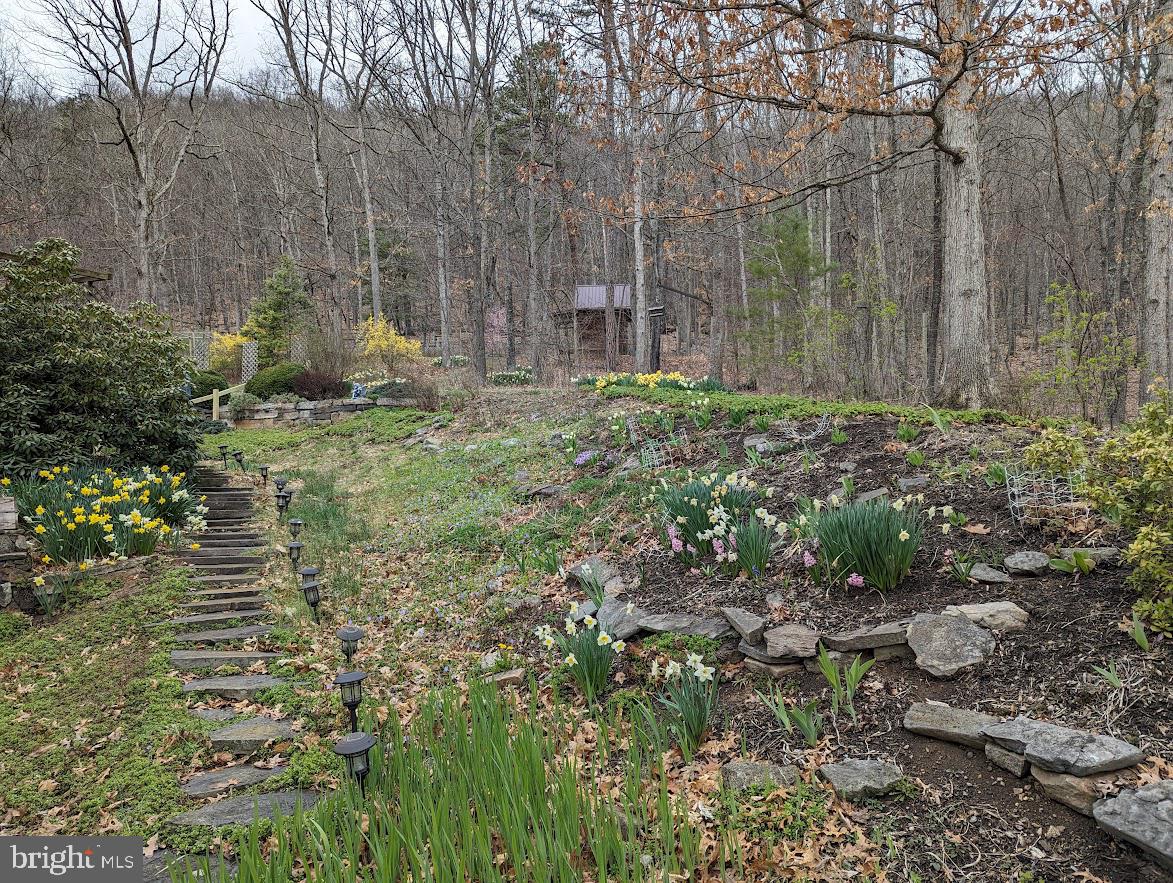1537 Hidden Valley Road Franklin, WV 26807 - Photo 15 of 78 a backyard of a house with lots of green space