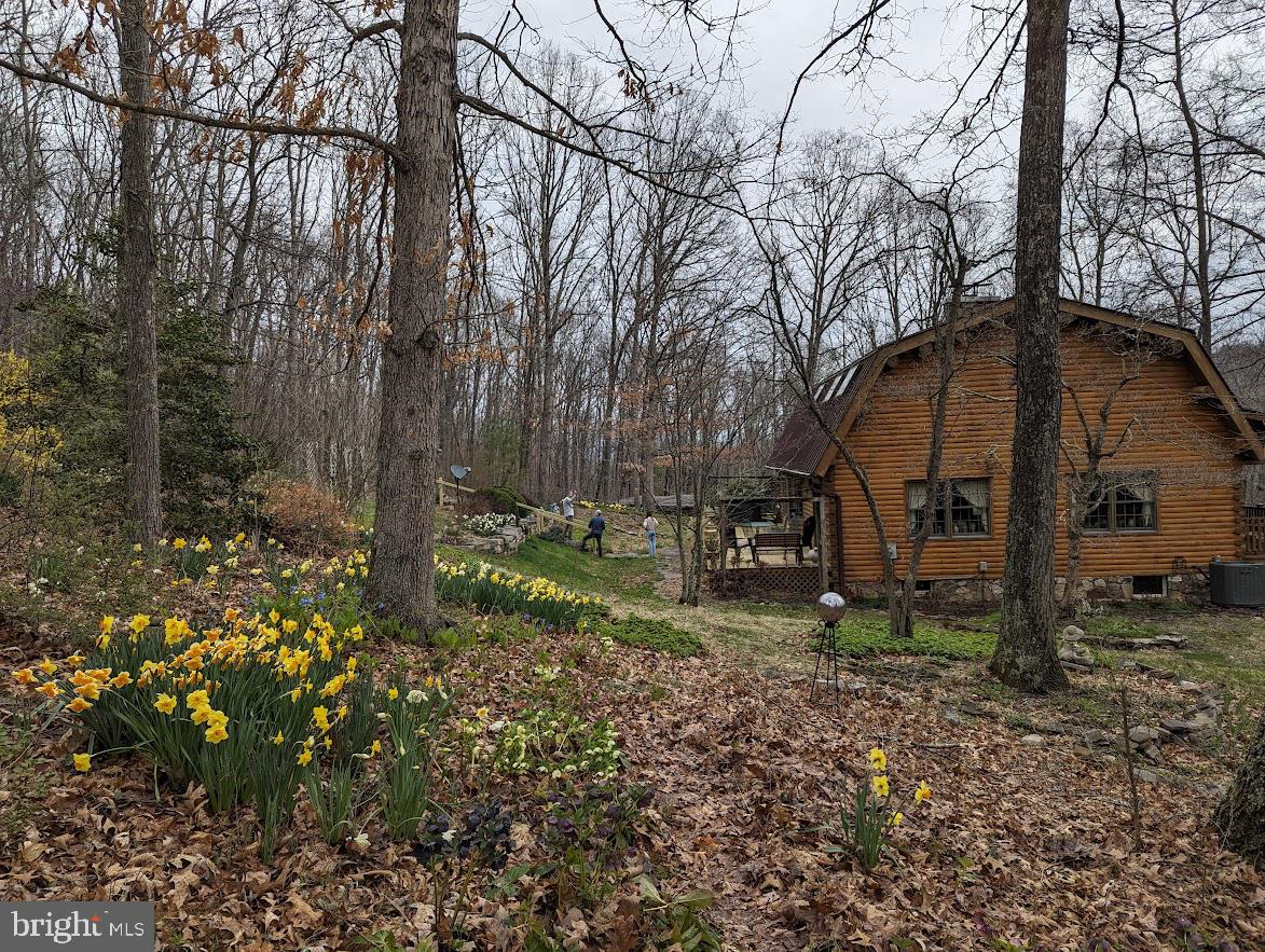 1537 Hidden Valley Road Franklin, WV 26807 - Photo 18 of 78 a backyard of a house with lots of green space
