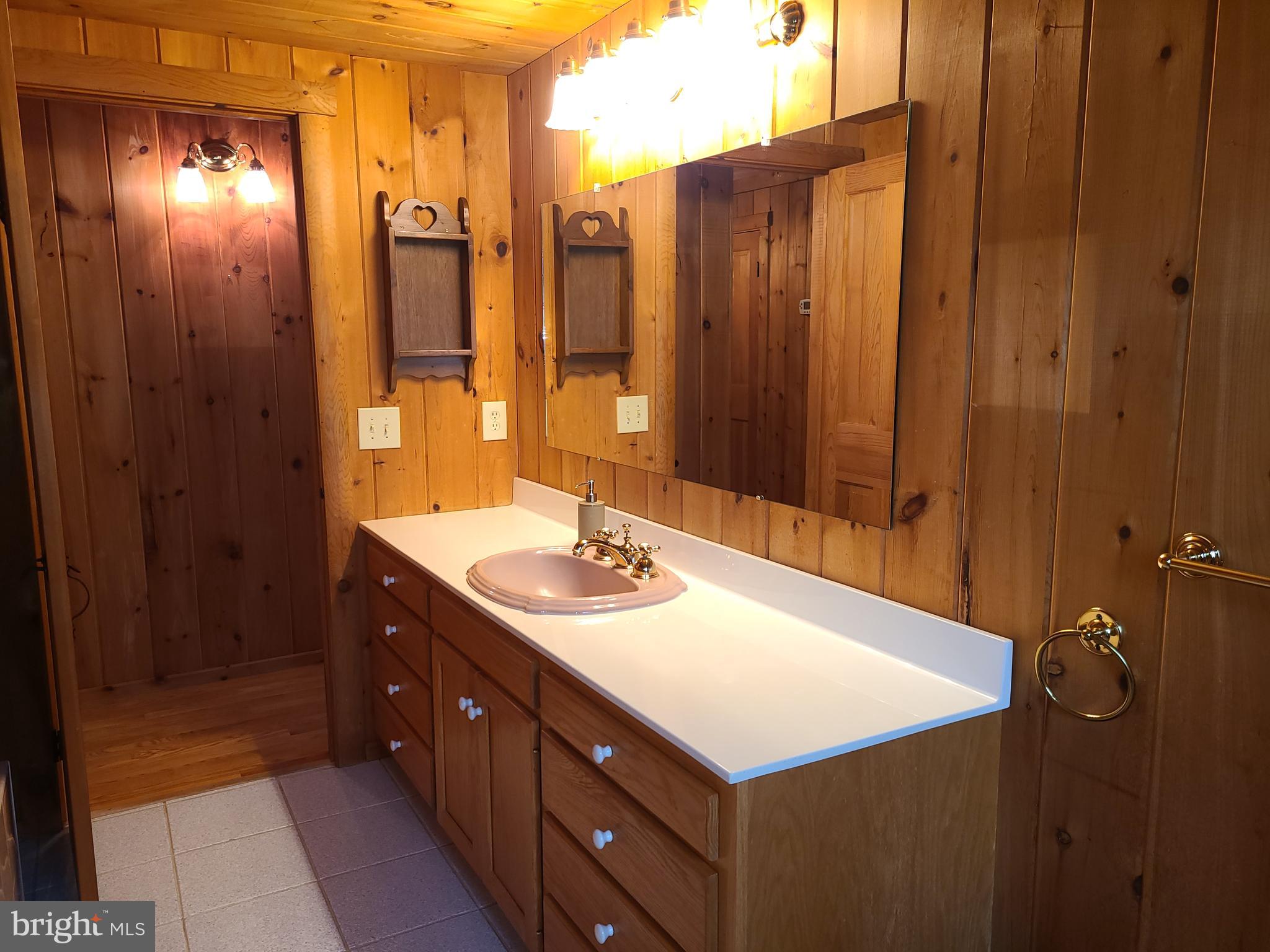 1537 Hidden Valley Road Franklin, WV 26807 - Photo 32 of 78 a bathroom with a sink and a mirror