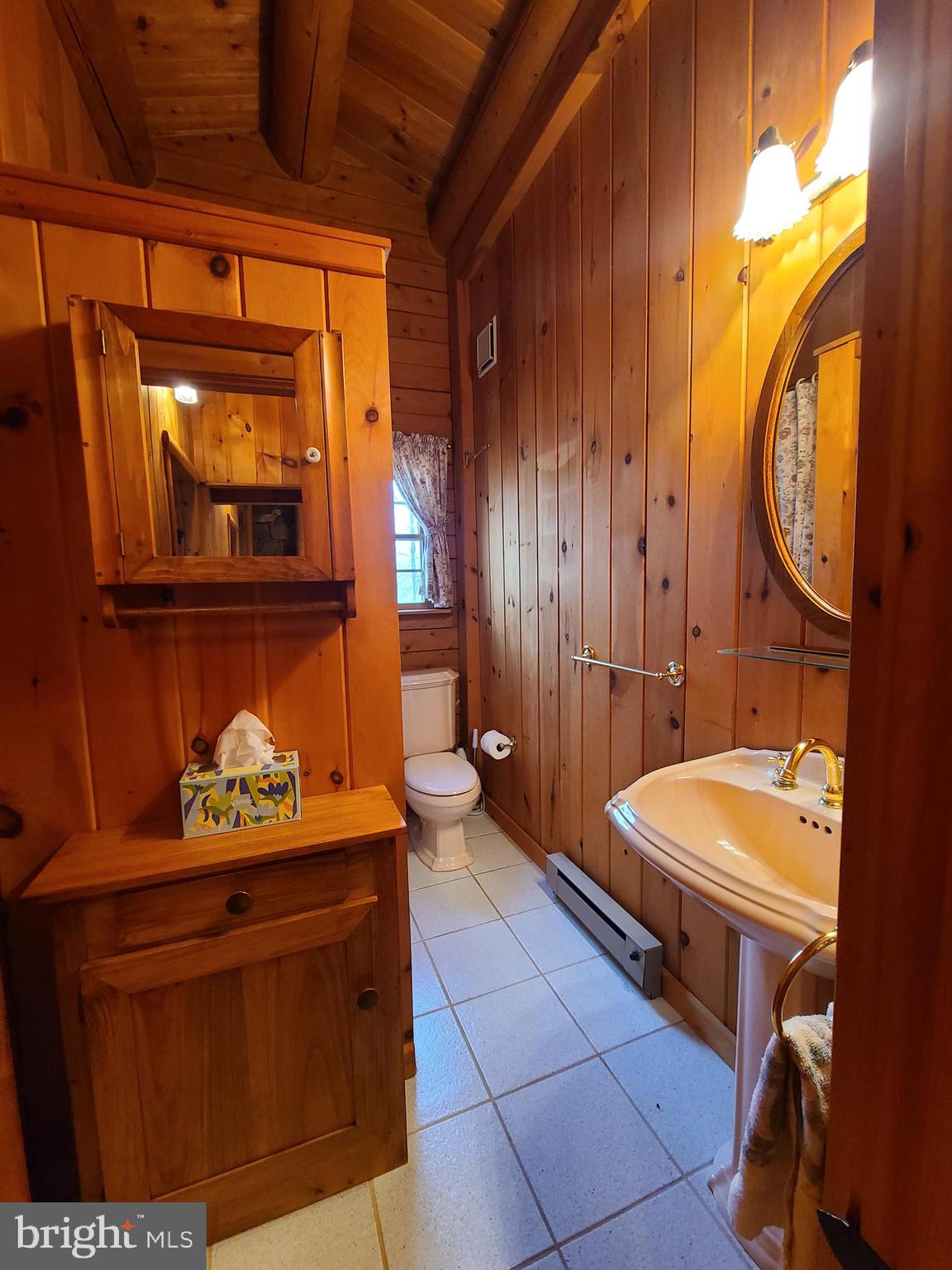 1537 Hidden Valley Road Franklin, WV 26807 - Photo 40 of 78 a bathroom with a sink a mirror and toilet