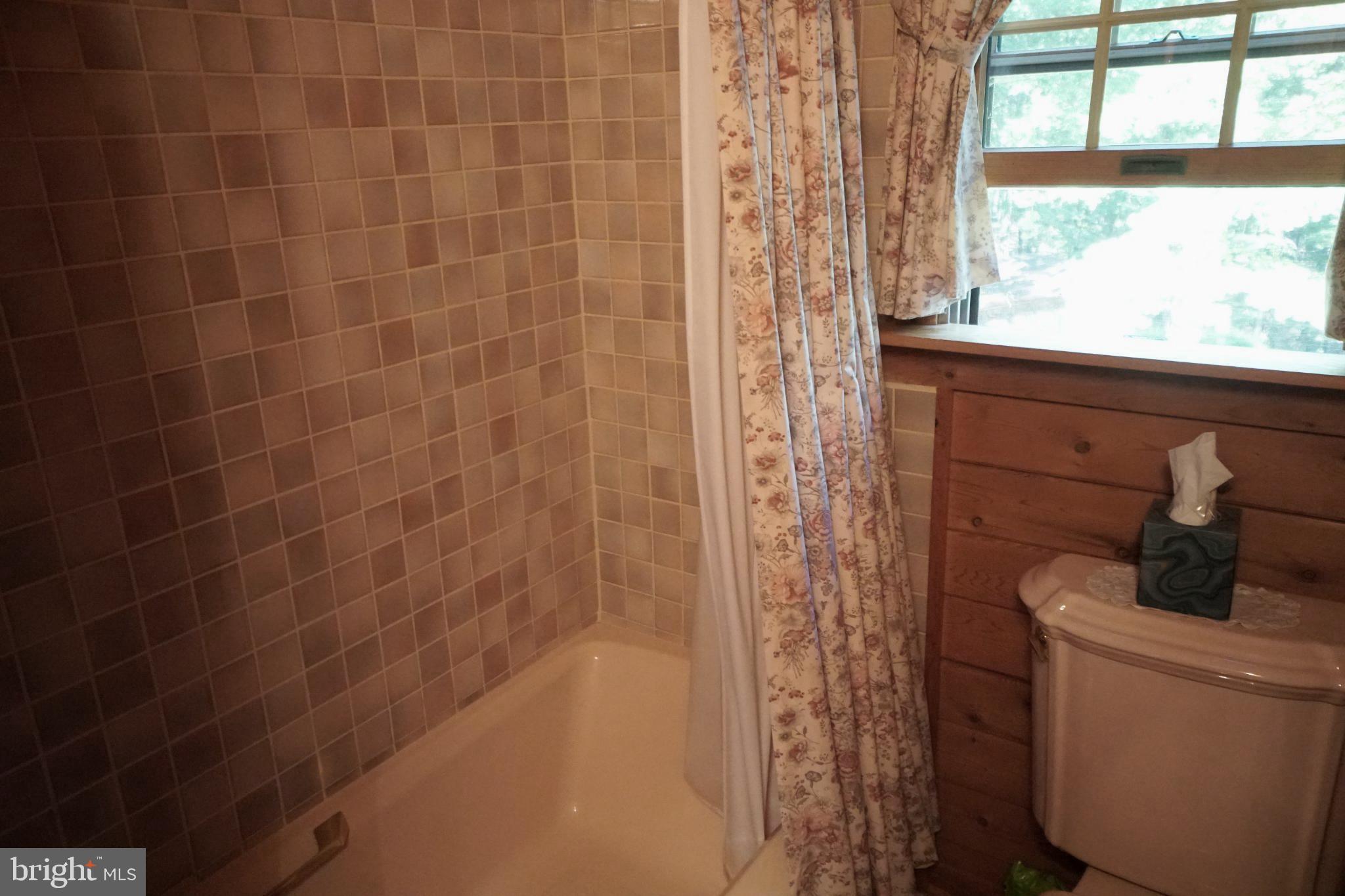 1537 Hidden Valley Road Franklin, WV 26807 - Photo 41 of 78 a bathroom with a bathtub and window