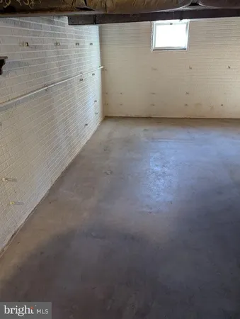 a close up of a plant in a garden