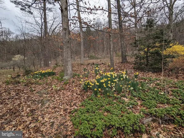 $899,000 | 1537 Hidden Valley Road, Franklin, WV 26807