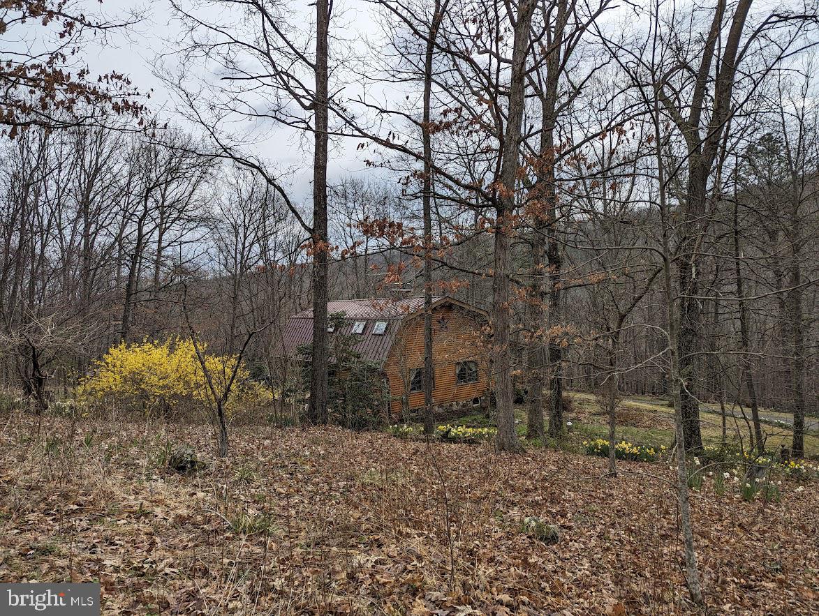 1537 Hidden Valley Road Franklin, WV 26807 - Photo 60 of 78 a backyard of a house with lots of green space