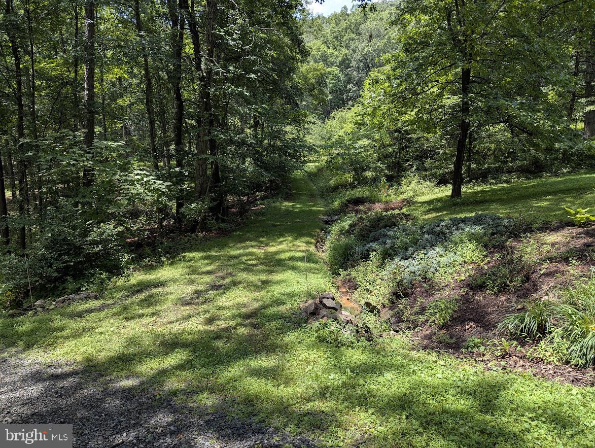 1537 Hidden Valley Road Franklin, WV 26807 - Photo 61 of 78 a view of outdoor space and trees