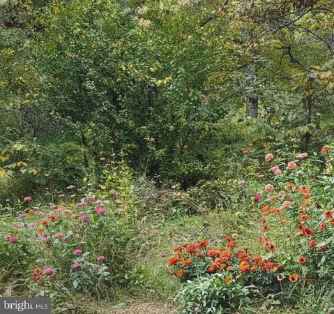 $899,000 | 1537 Hidden Valley Road, Franklin, WV 26807