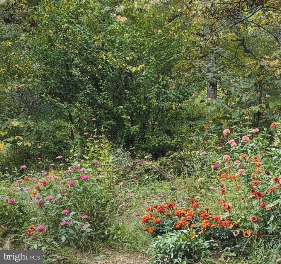 1537 Hidden Valley Road Franklin, WV 26807 - Photo 62 of 78