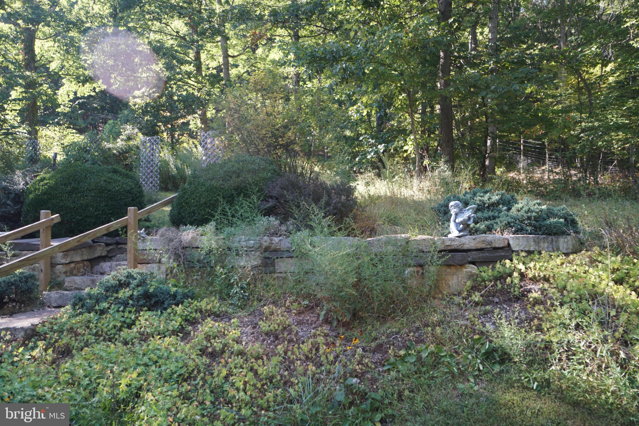 1537 Hidden Valley Road Franklin, WV 26807 - Photo 63 of 78 Serene garden retreat with lush greenery.