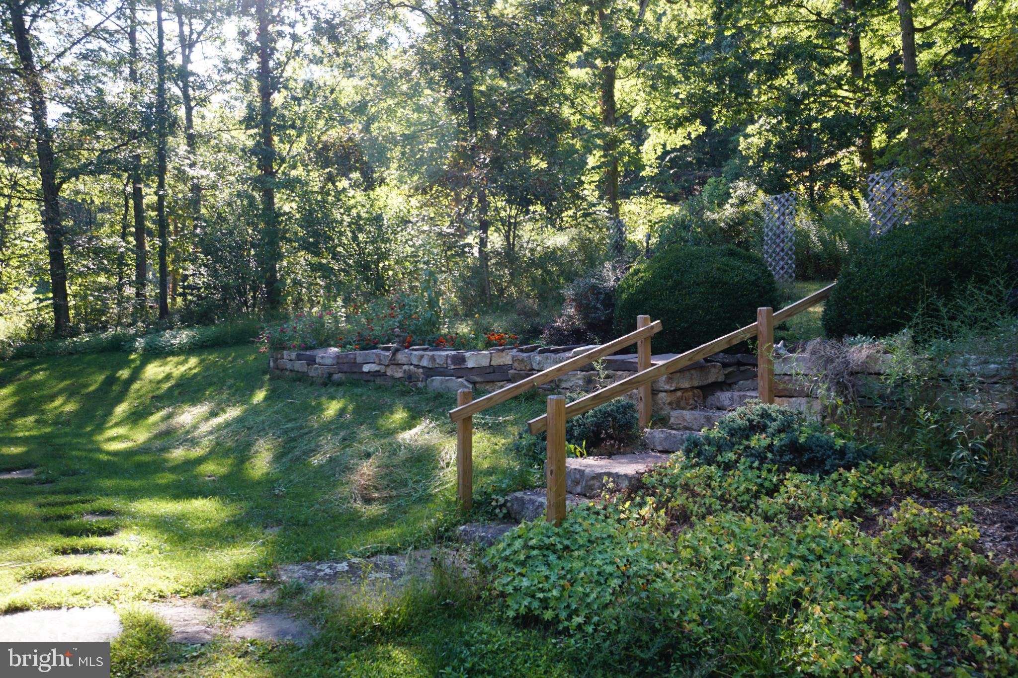 1537 Hidden Valley Road Franklin, WV 26807 - Photo 64 of 78 a view of a trees in a backyard