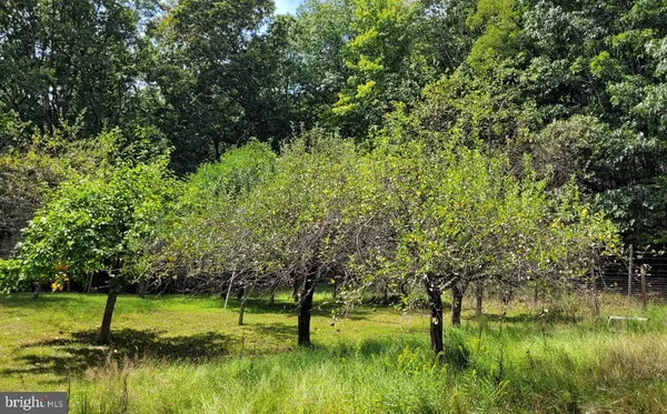 $899,000 | 1537 Hidden Valley Road, Franklin, WV 26807