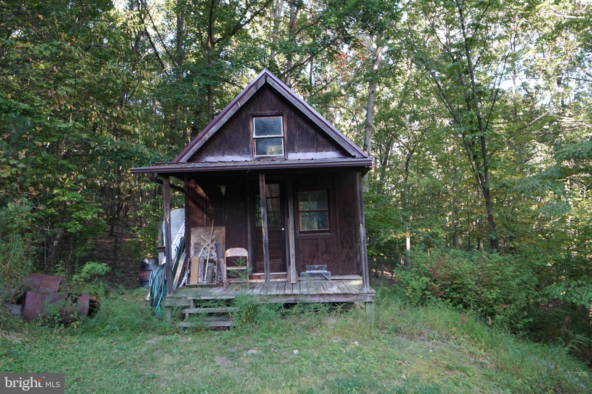 1537 Hidden Valley Road Franklin, WV 26807 - Photo 70 of 78 a front view of a house with a yard