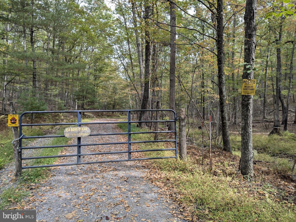 1537 Hidden Valley Road Franklin, WV 26807 - Photo 7 of 78