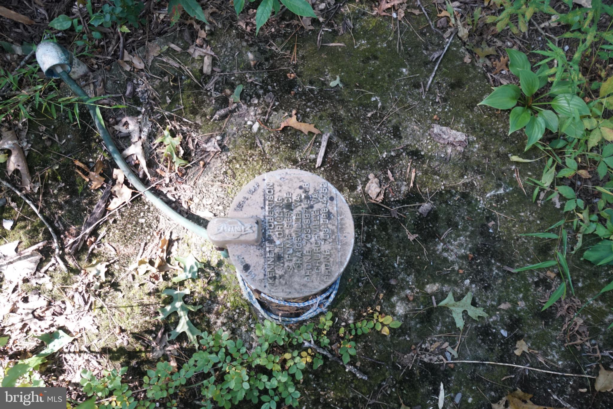 1537 Hidden Valley Road Franklin, WV 26807 - Photo 78 of 78 Utility access point in a natural setting.