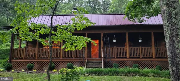 a view of a flower in a garden