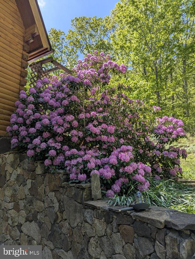 1537 Hidden Valley Road Franklin, WV 26807 - Photo 10 of 78