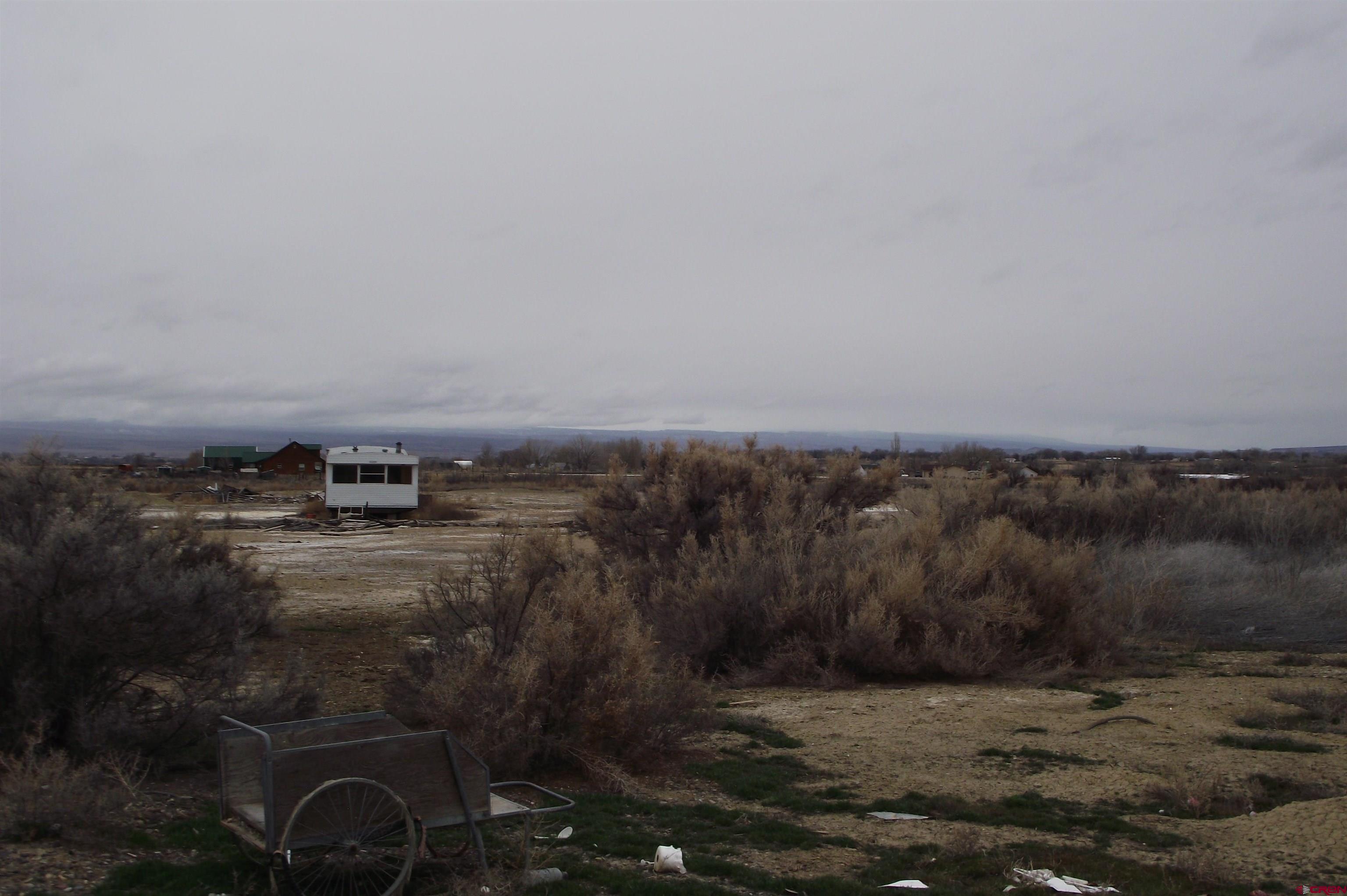 3747 2000th Road Delta, CO 81416 - Photo 6 of 24 a view of a dry yard with trees