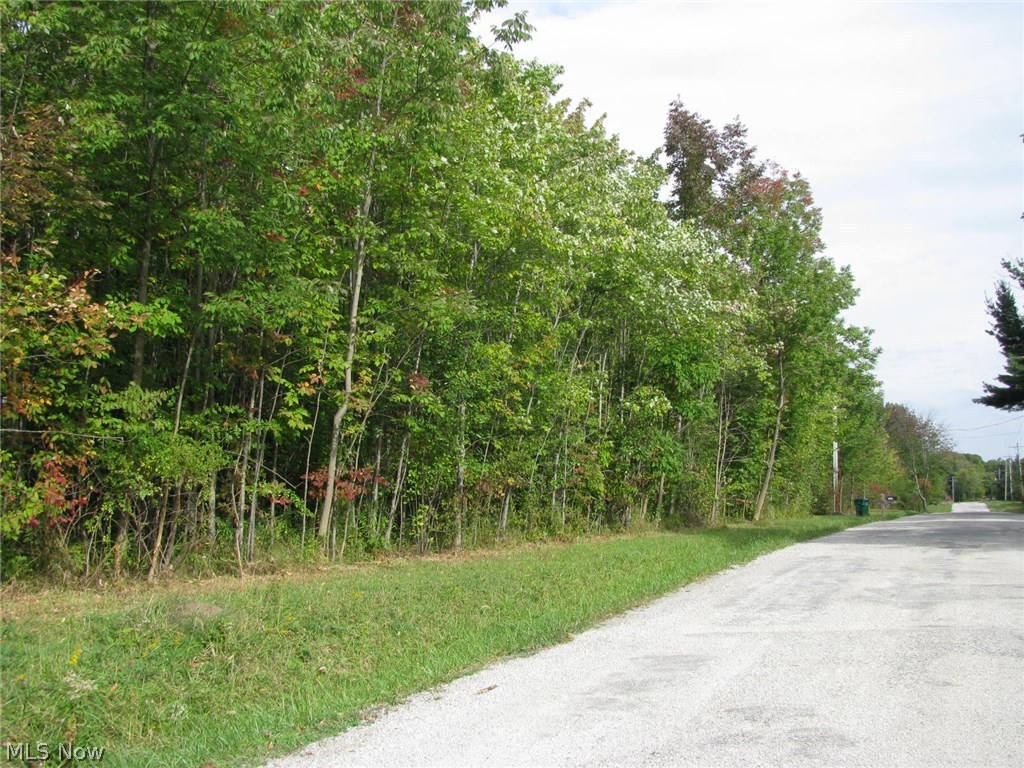 V/l Sumner Road Thompson, OH 44086 - Photo 3 of 17