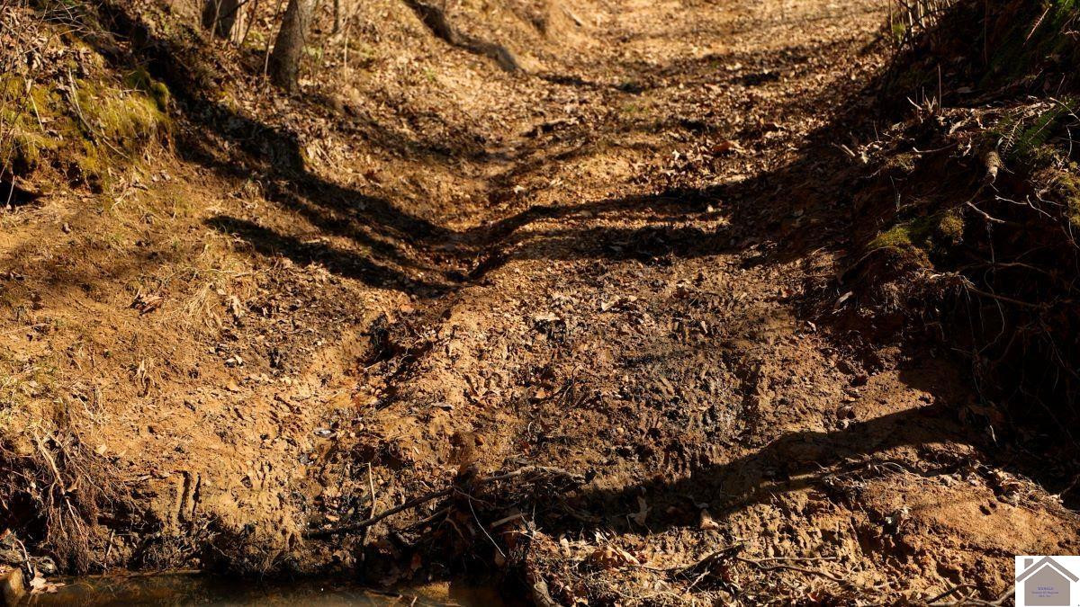 0 Wray Road Wingo, KY 42088 - Photo 24 of 39 Photo 24