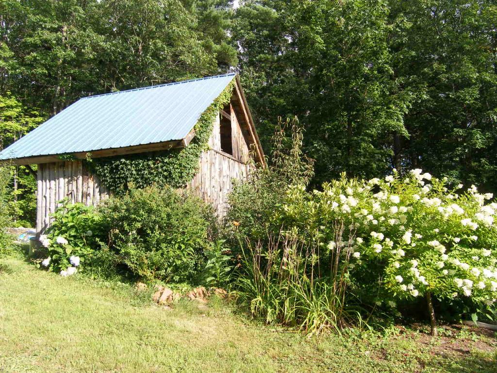45 Gove Road Weare, NH 03281 - Photo 4 of 14 Gallery Image 4