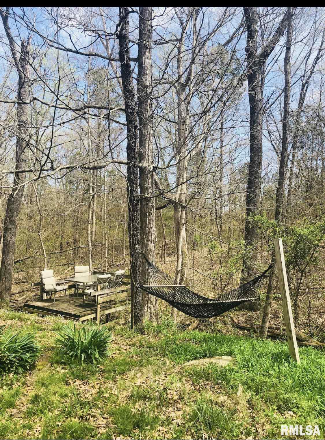 3982 Devils Fork Road Carbondale, IL 62902 - Photo 15 of 26 Gallery Image 15