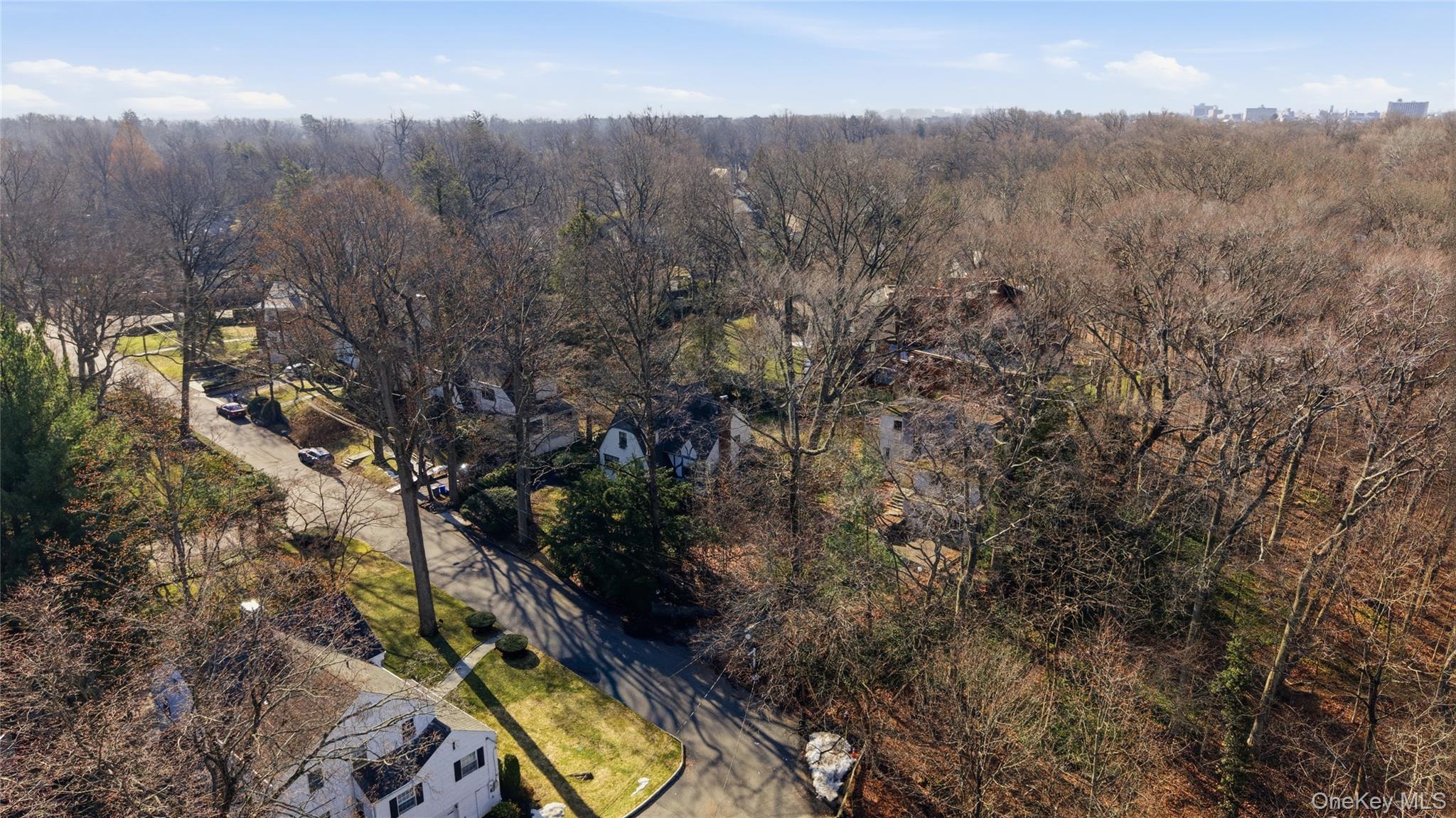 150 Burkewood Road Mount Vernon, NY 10552 - Photo 13 of 16 a view of a city with lush green forest