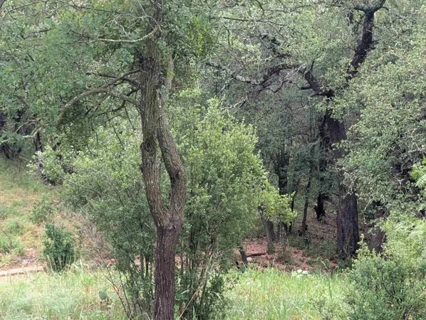 $50,000 | 1106 Monterrey Oak Circle, Marble Falls, TX 78654