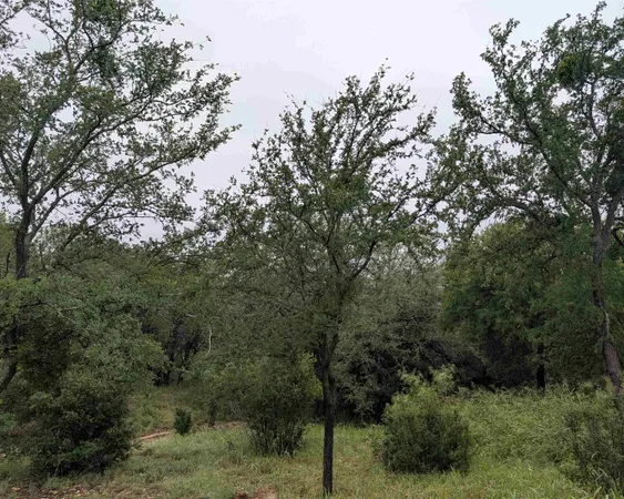 $50,000 | 1106 Monterrey Oak Circle, Marble Falls, TX 78654