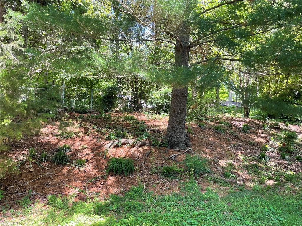601 Drumheller Road Clemmons, NC 27012 - Photo 42 of 46 Gallery Image 42
