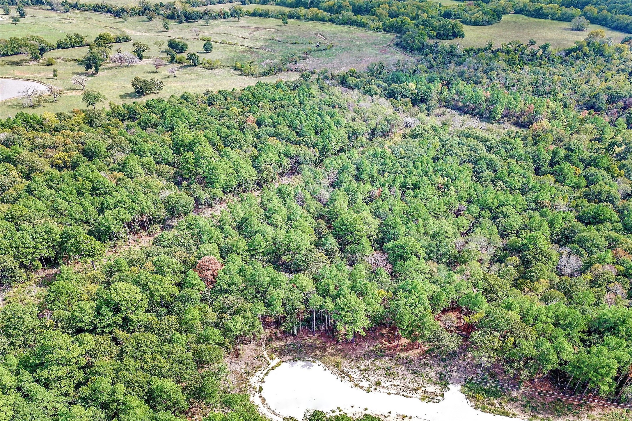 53 Ranches At Buckhorn Creek Crockett, TX 75835 - Photo 11 of 12 a view of a forest with a street