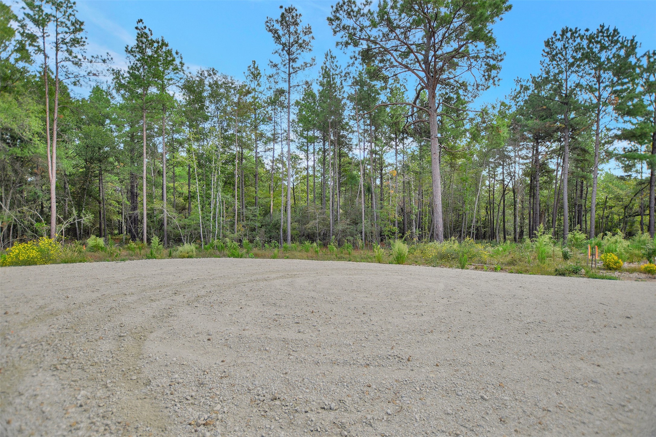 53 Ranches At Buckhorn Creek Crockett, TX 75835 - Photo 2 of 12 a view of a road with trees in the background
