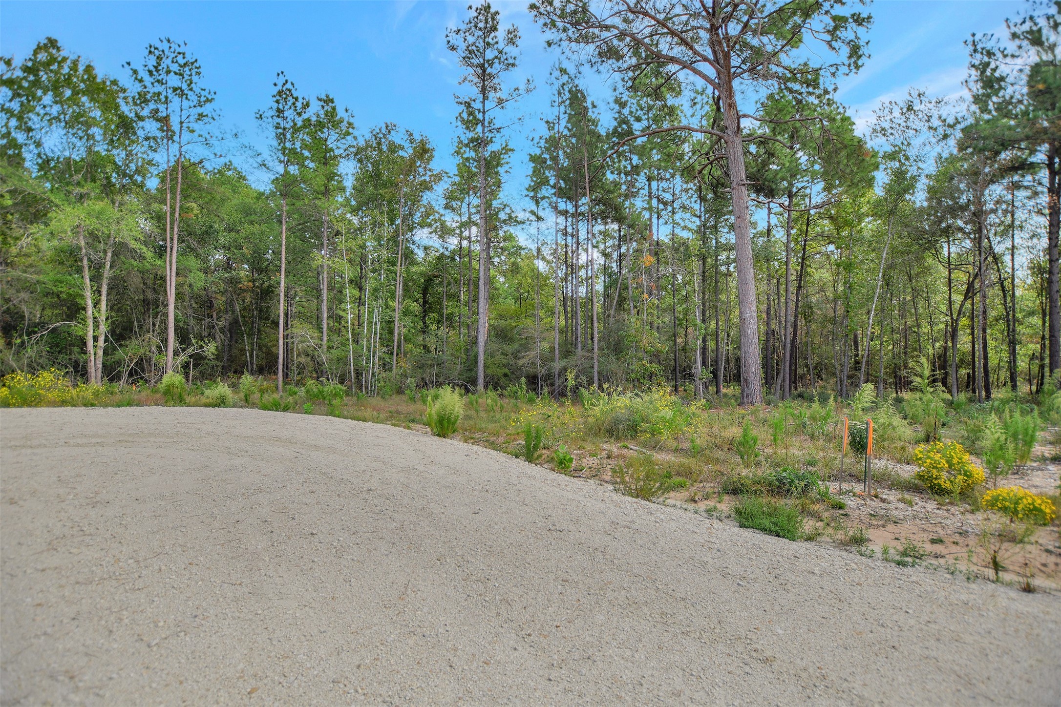 53 Ranches At Buckhorn Creek Crockett, TX 75835 - Photo 3 of 12 a view of a field with trees in the background