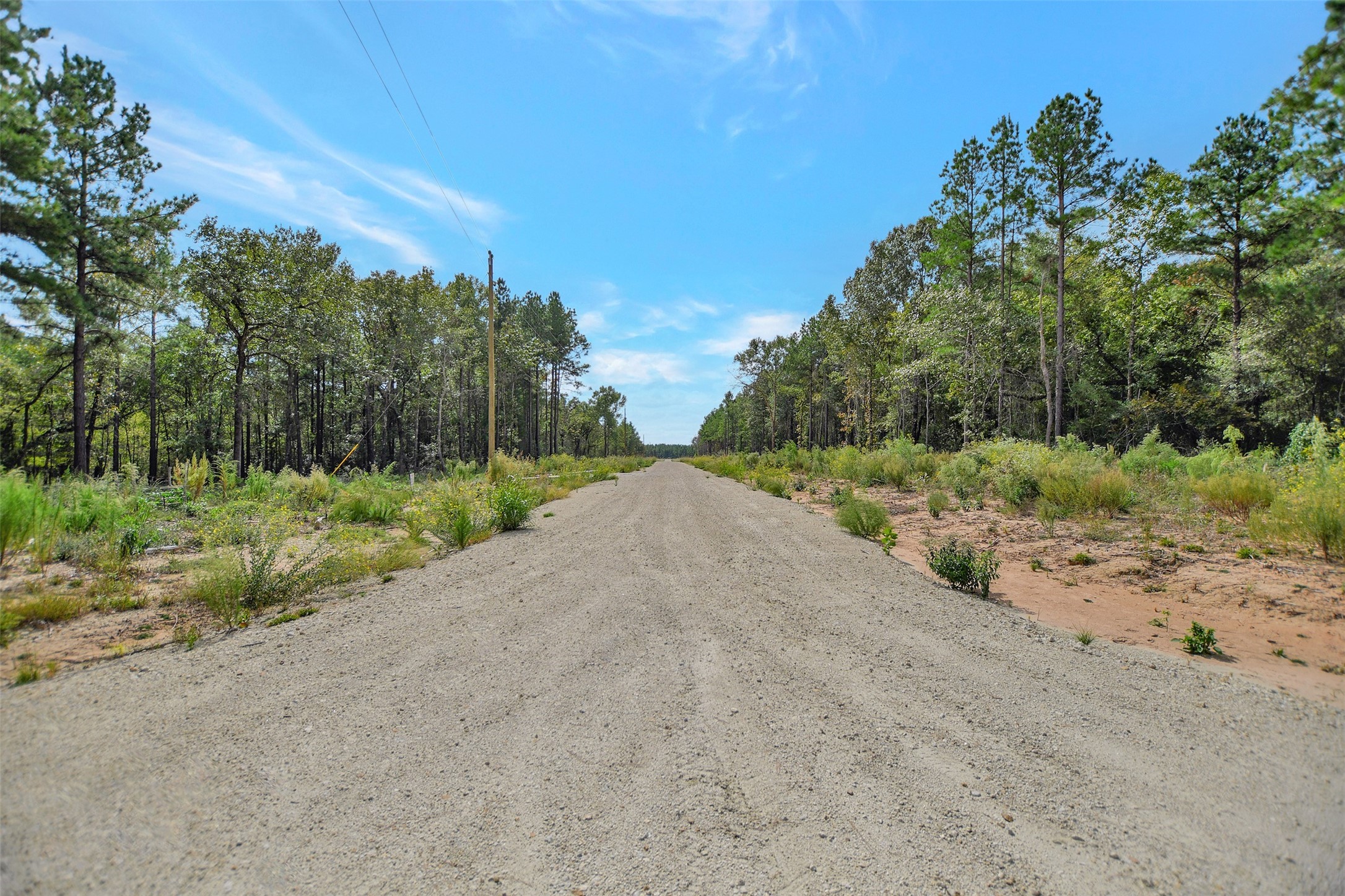 53 Ranches At Buckhorn Creek Crockett, TX 75835 - Photo 6 of 12 a view of a dirt road with a building in the background