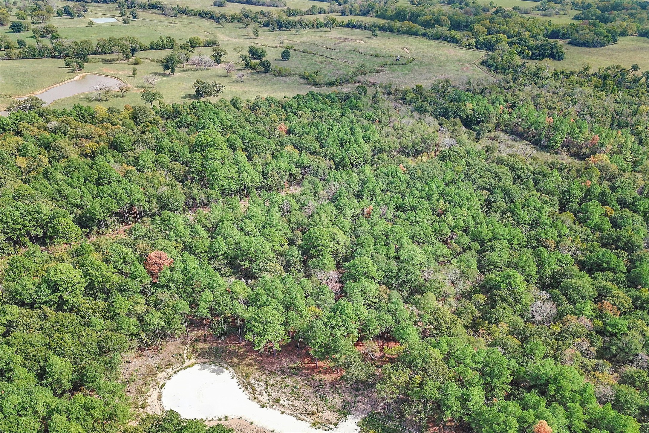 53 Ranches At Buckhorn Creek Crockett, TX 75835 - Photo 7 of 12 an aerial view of residential house with outdoor space and trees all around