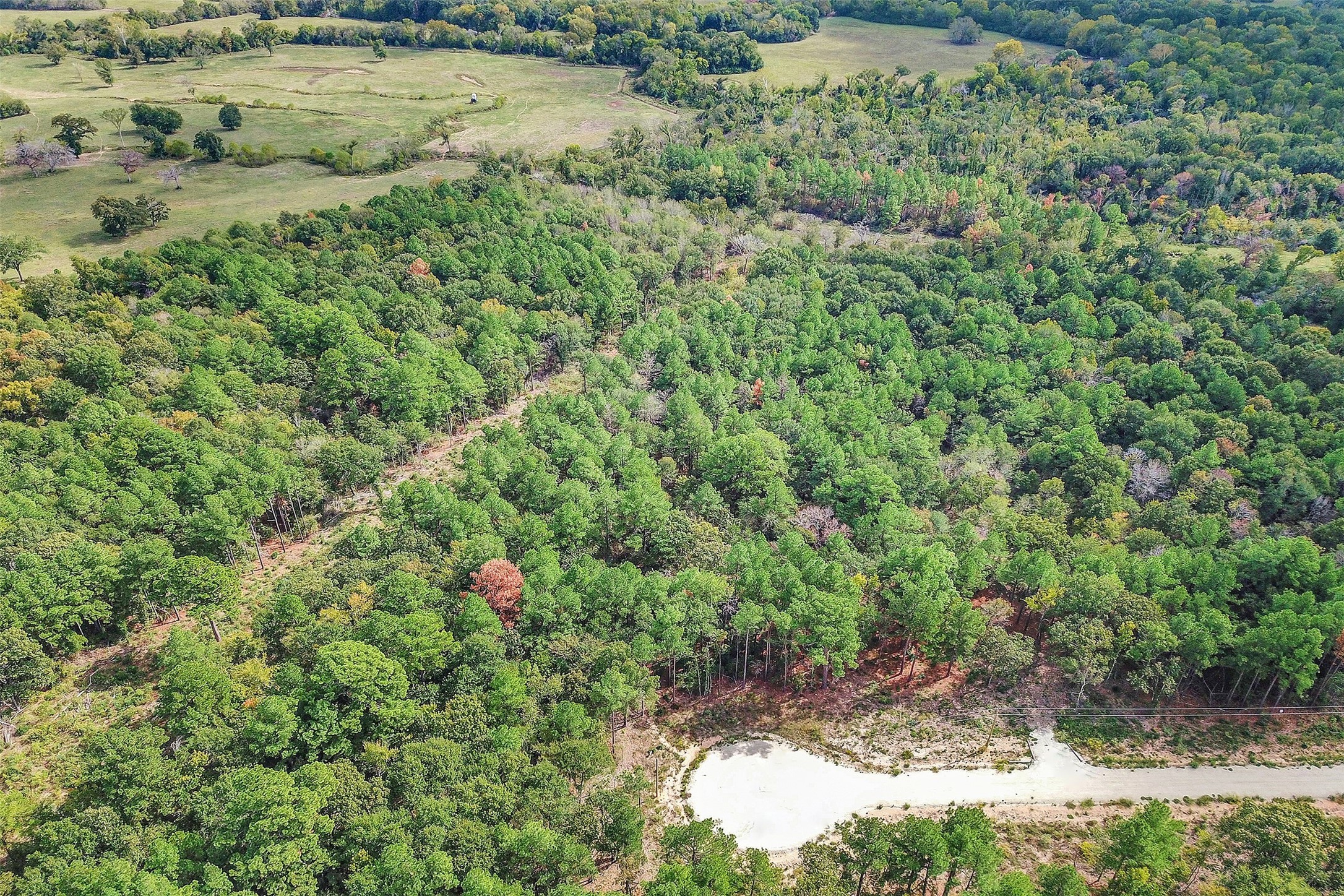 53 Ranches At Buckhorn Creek Crockett, TX 75835 - Photo 8 of 12 a view of a lake with a park