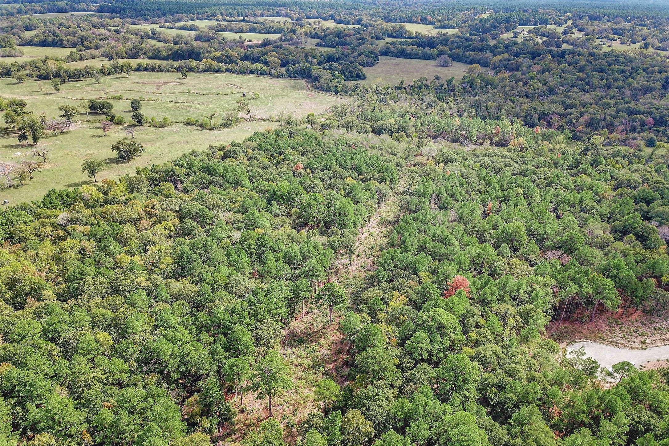 53 Ranches At Buckhorn Creek Crockett, TX 75835 - Photo 9 of 12 a view of a lake view