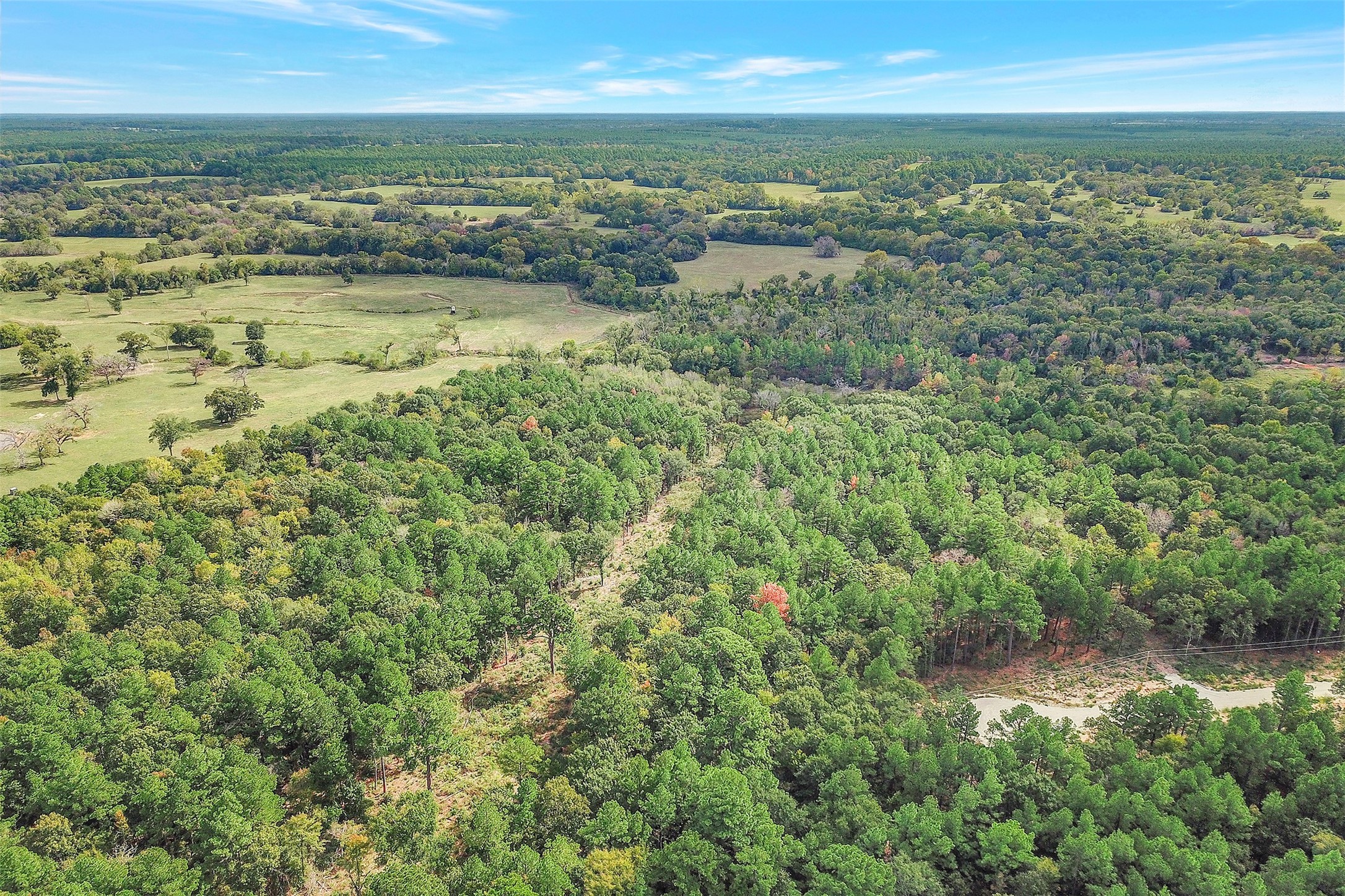 53 Ranches At Buckhorn Creek Crockett, TX 75835 - Photo 10 of 12 a view of city and ocean