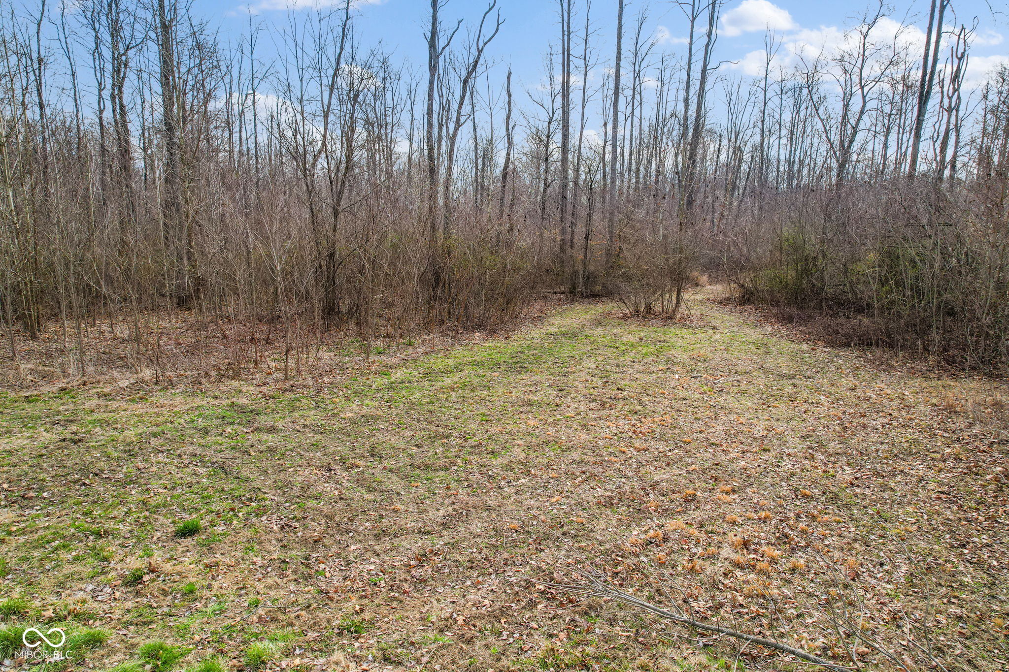 0 Solstice West Path Monrovia, IN 46157 - Photo 8 of 10