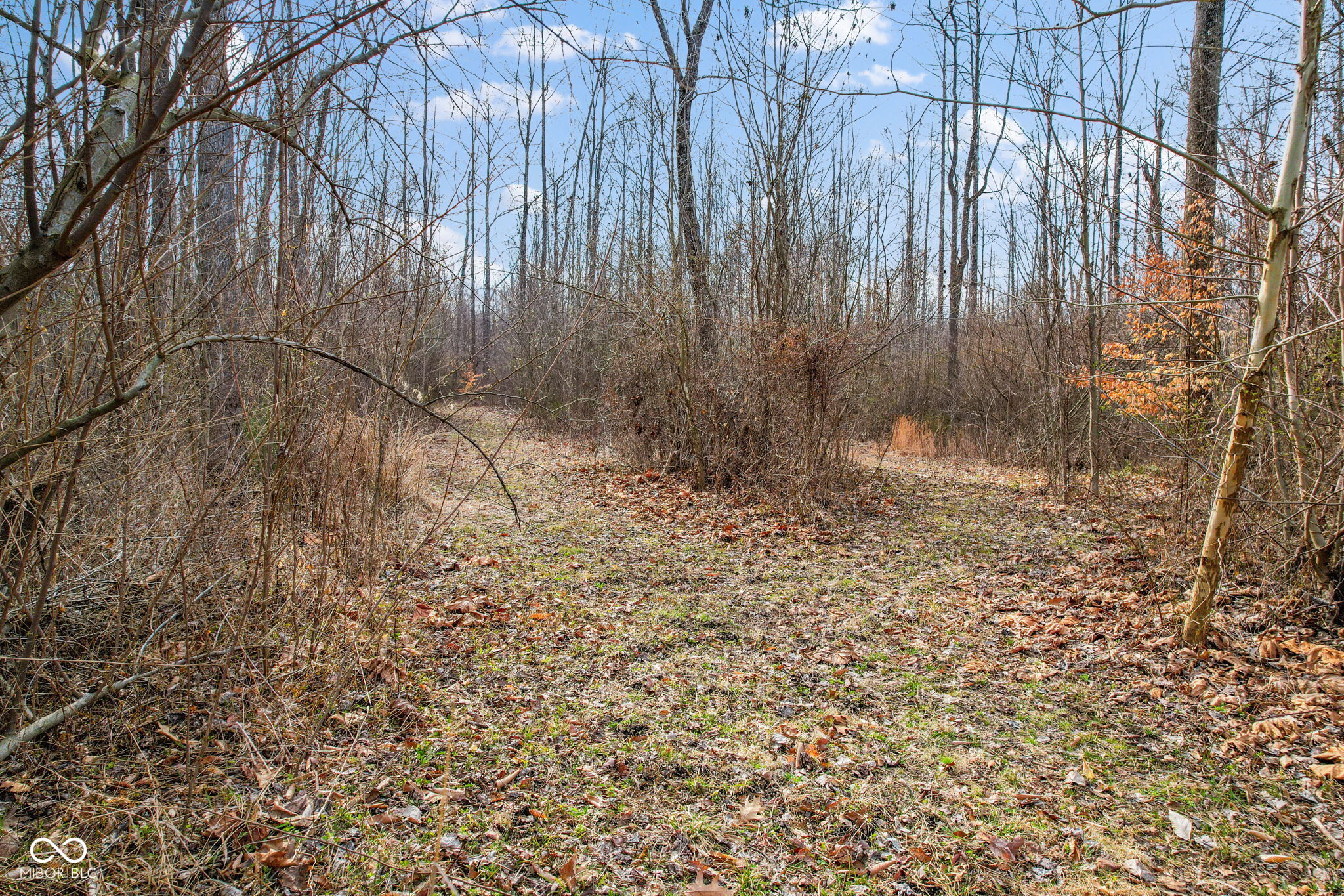 0 Solstice West Path Monrovia, IN 46157 - Photo 10 of 10