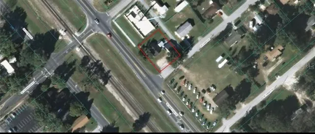 a view of a tree in a yard