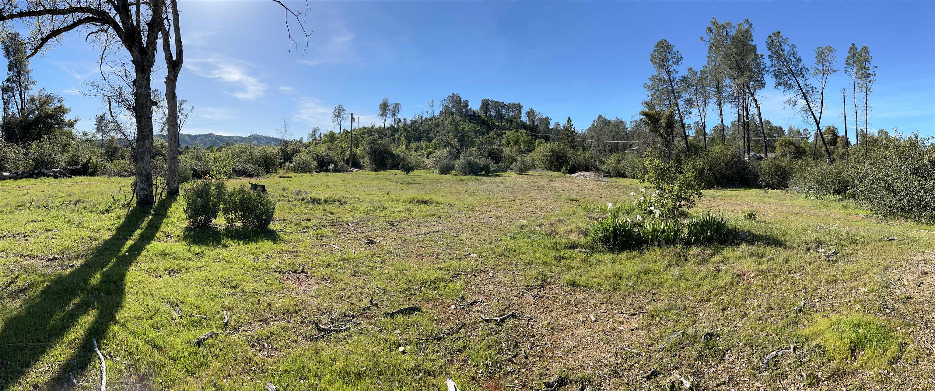 10266 White Star Road Redding, CA 96001 - Photo 11 of 11