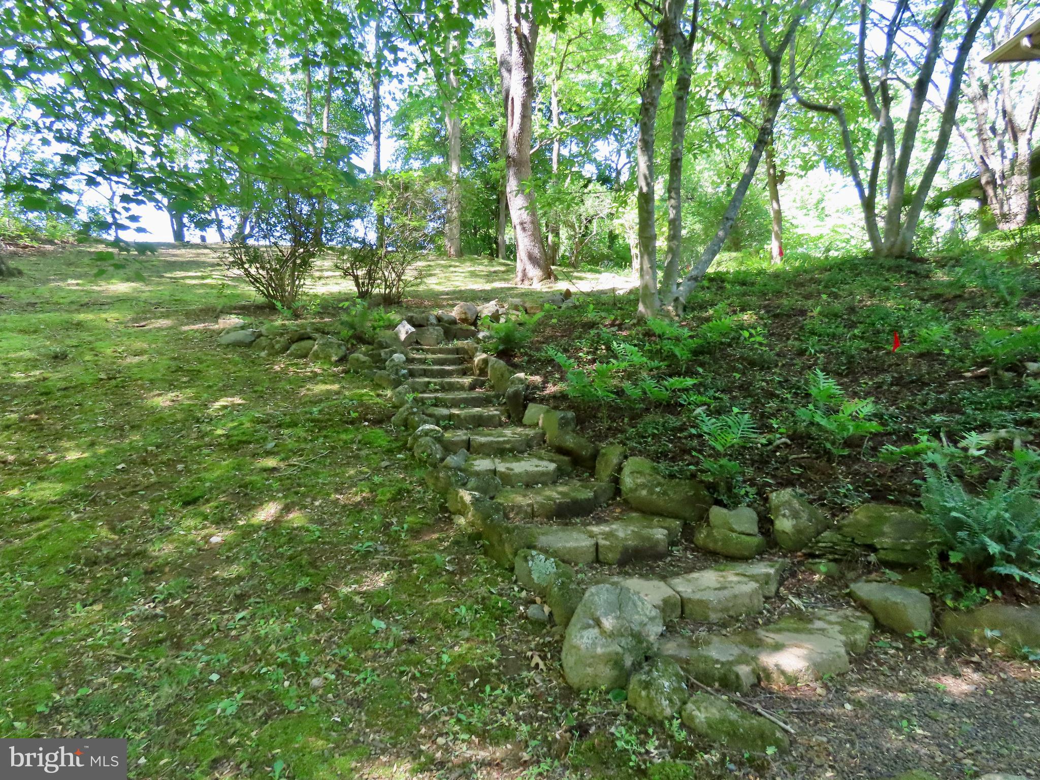 3016 Etlan Road Etlan, VA 22719 - Photo 8 of 42 Steps up the hill to the Campfire Ring