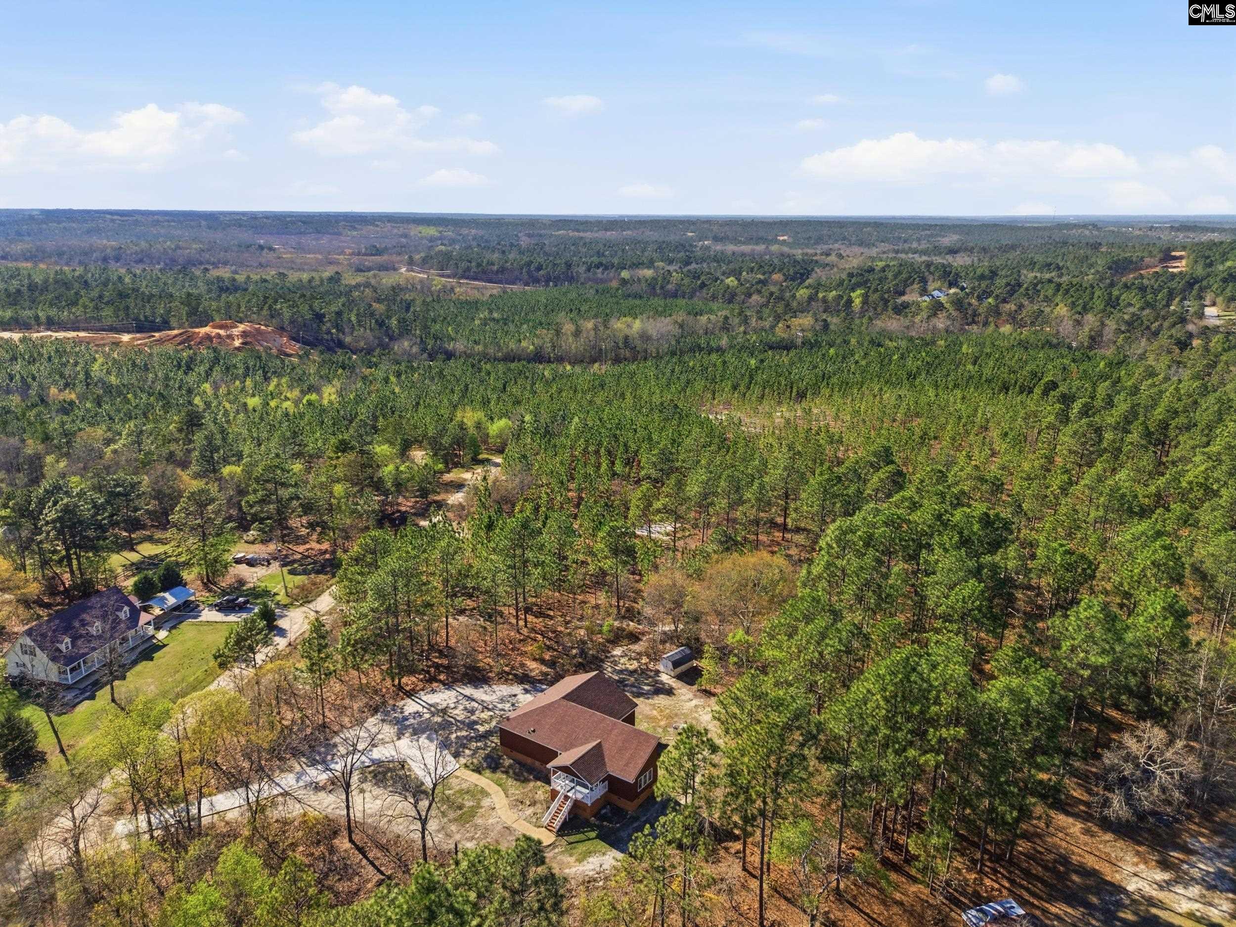 263 Sugar Loaf Road Gaston, SC 29053 - Photo 28 of 35