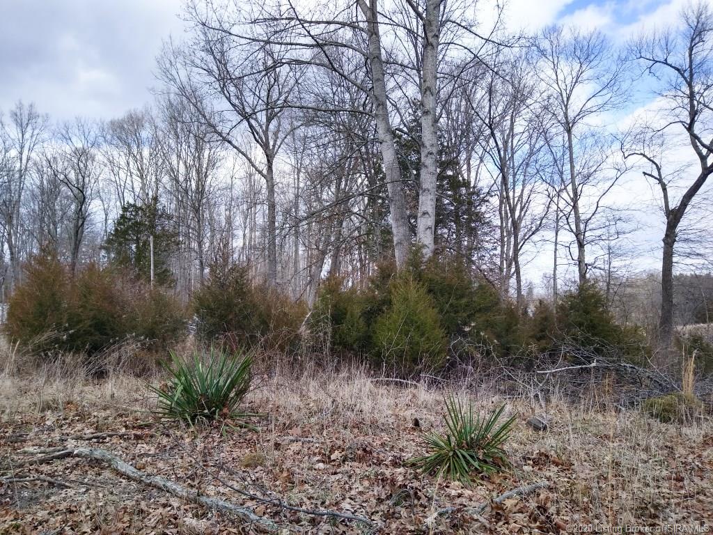 4261 Pleasure Ridge Road Southeast Corydon, IN 47112 - Photo 1 of 21