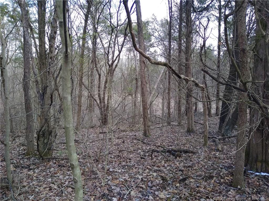 4261 Pleasure Ridge Road Southeast Corydon, IN 47112 - Photo 3 of 21