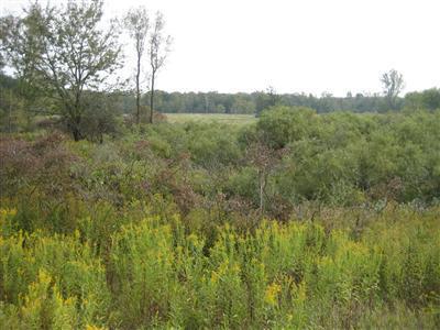 Sidney Road, Unit PAR1 Sidney, MI 48885 - Photo 1 of 1 Primary Photo