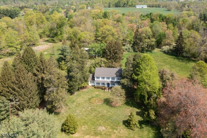 416 Rosemont Ringoes Road Stockton, NJ 08559 - Photo 1 of 39 a view of a yard with trees