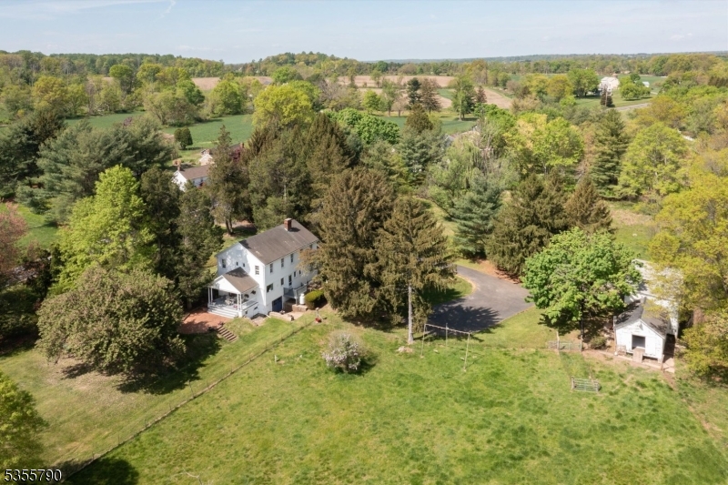 416 Rosemont Ringoes Road Stockton, NJ 08559 - Photo 38 of 39 a view of a yard with plants and large trees