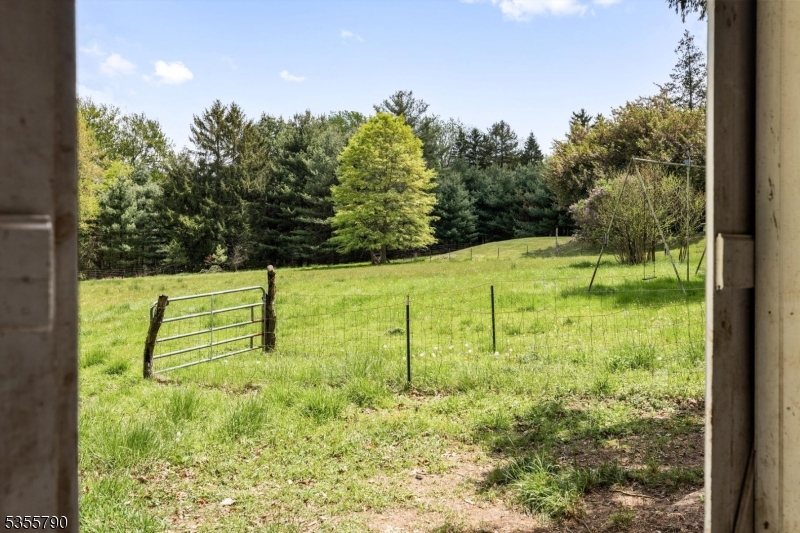 416 Rosemont Ringoes Road Stockton, NJ 08559 - Photo 10 of 39 a view of a yard with a house