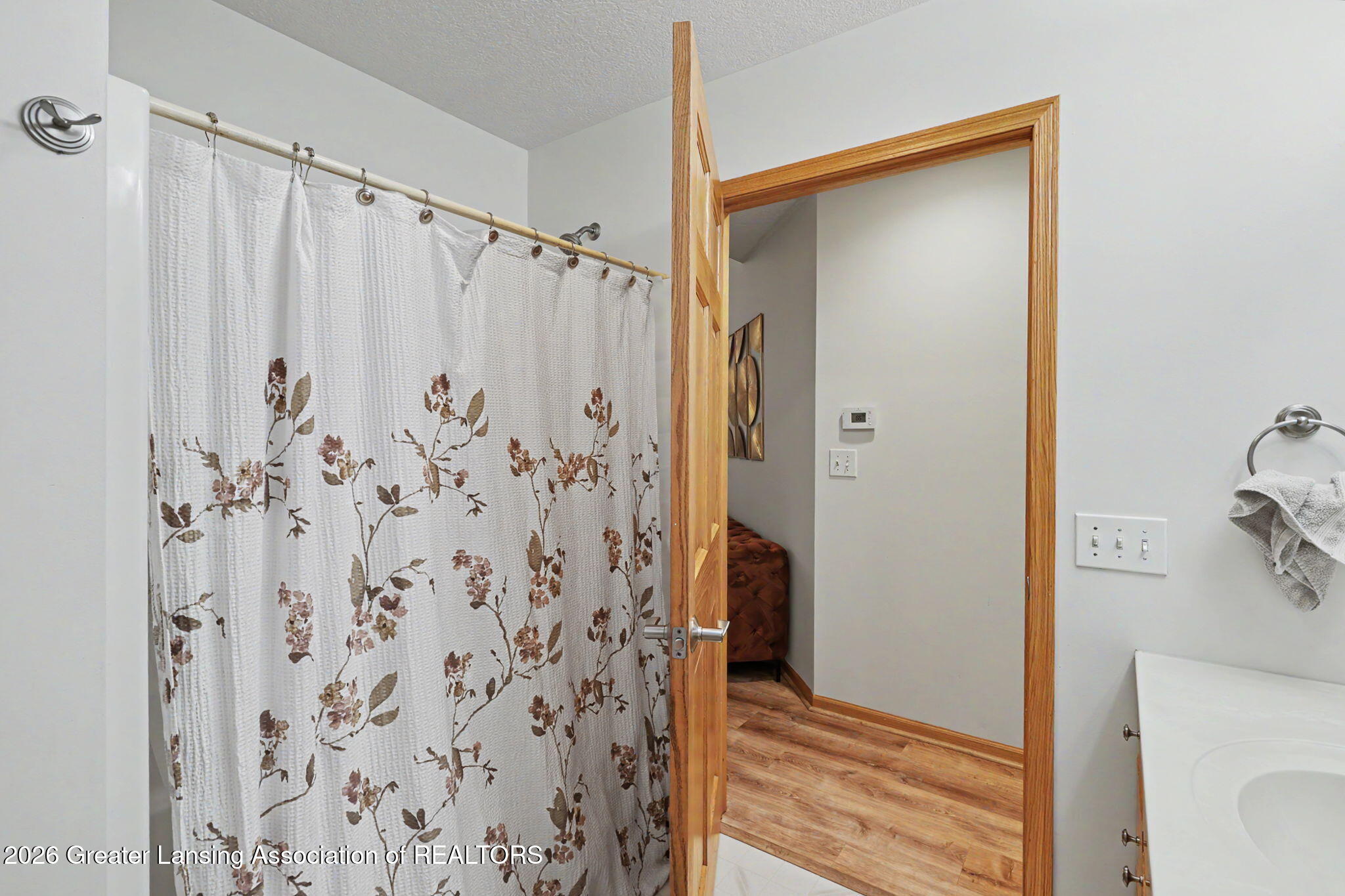 248 Birch Lane Dimondale, MI 48821 - Photo 27 of 44 27-web-or-mls-CQ1A2542