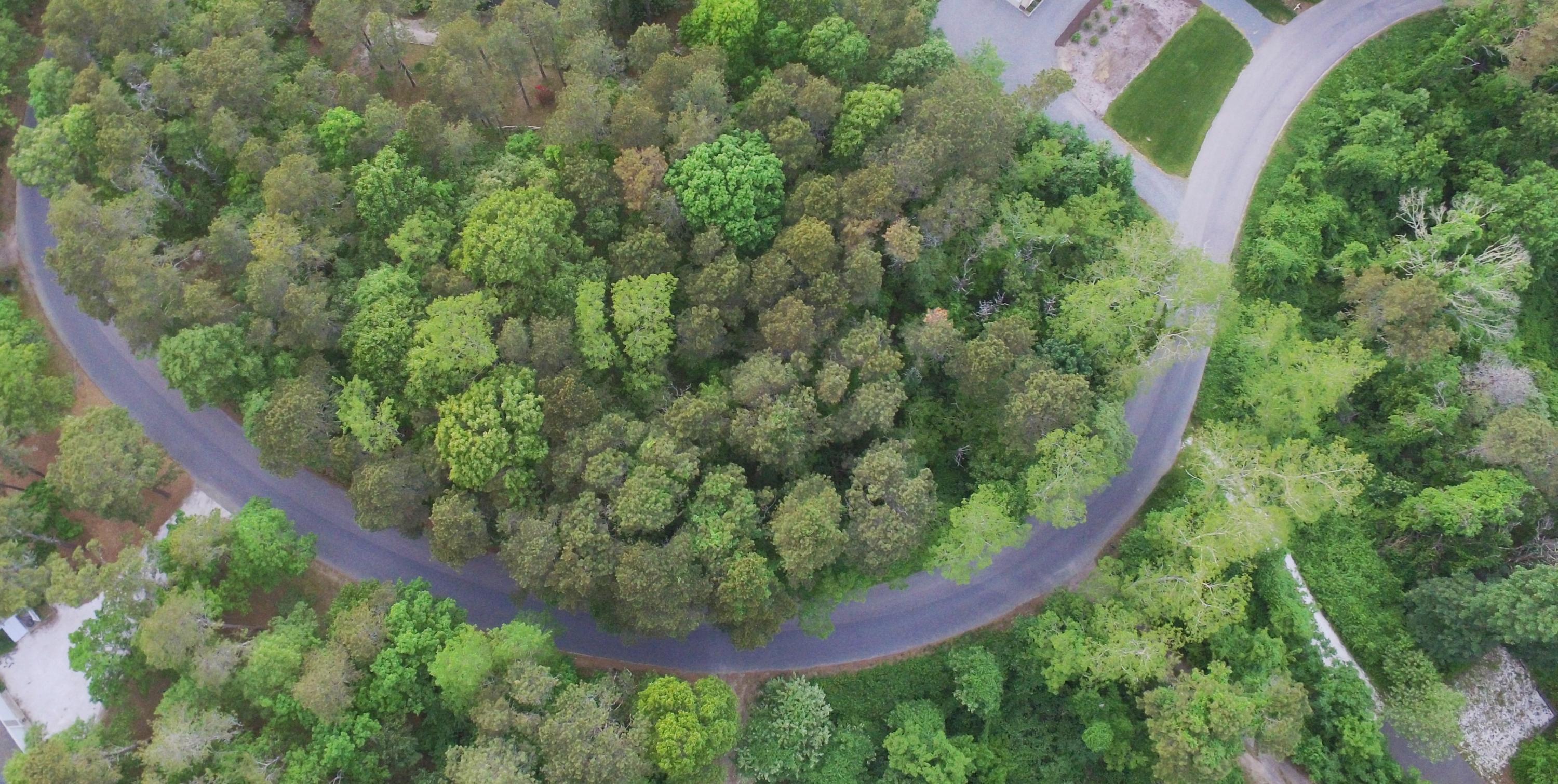 DJI_0020 (2)
